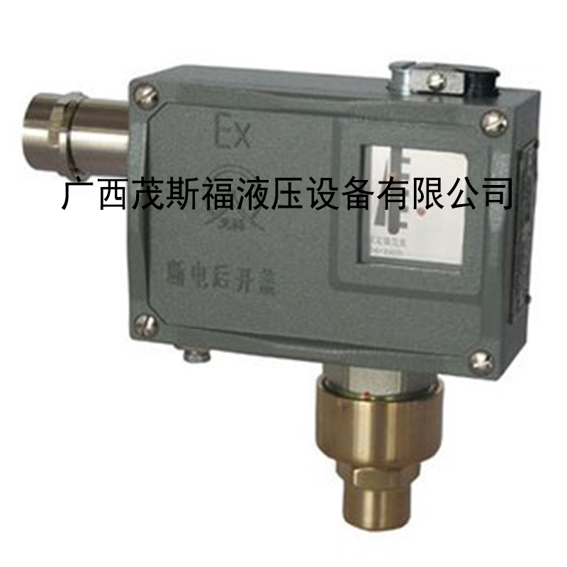 TLD-02壓力開關
